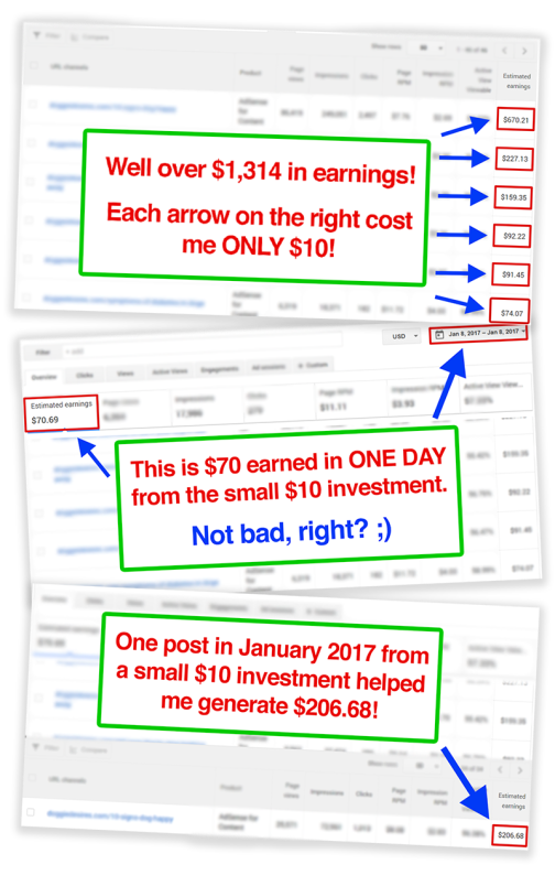 Growii Review – GET AMAZING BONUSES : The Case Study How Stefan Ciancio Turned Tiny One Time $10 Costs Into $100-$300 Per Month Passive Income Machines And How You Can Set Up As Many As You Want [Bank An Easy $330/Mo Passive Income From Each Of These Tiny $10 Investments]